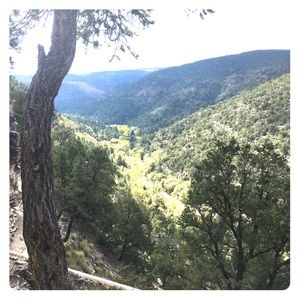 Meet your Posher, Jolie